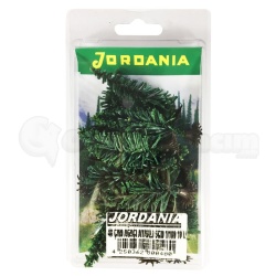 Jordania - Jordania Çam Ağacı 48 Ayaklı 6 cm 1/100 10 lu