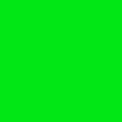 Staedtler - Staedtler Triplus Color Keçe Uçlu Kalem 501 Neon Green