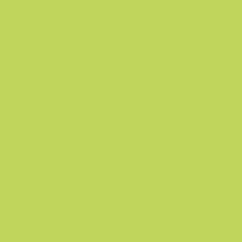Staedtler Triplus Color Keçe Uçlu Kalem 53 Lime Green