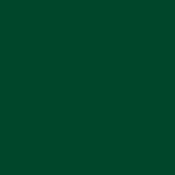 Staedtler - Staedtler Triplus Color Keçe Uçlu Kalem 55 Green Earth